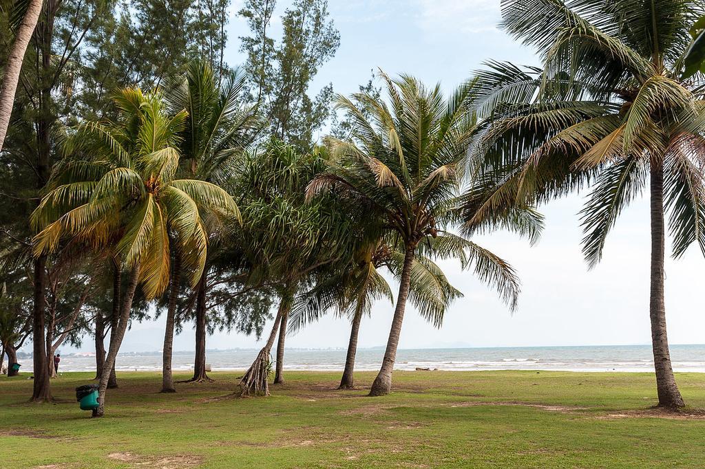 Nusantara Mattwaddien M.S Kota Kinabalu Dış mekan fotoğraf